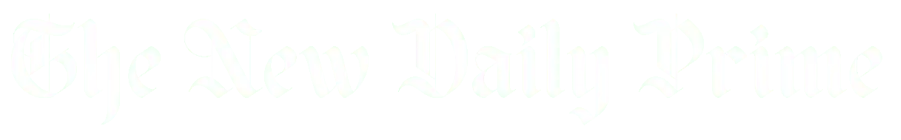 logo png of the new daily prime