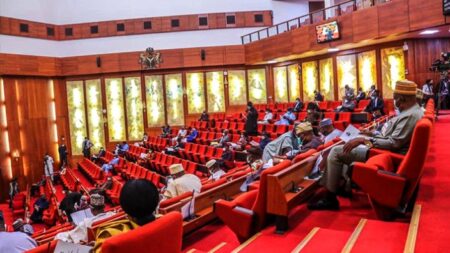 Afenifere calls for restructuring as Senate approves South-West Development Commission