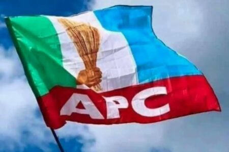 APC criticizes Yiaga Africa over Edo election results manipulation claims