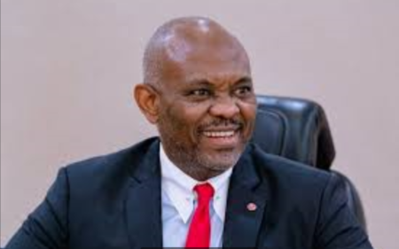 FG appoints Elumelu head of Disaster Relief Fund