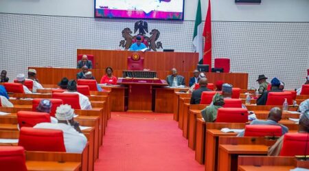 JUST IN: Senate Urges President Tinubu to Dredge Rivers Niger and Benue to Combat Flooding