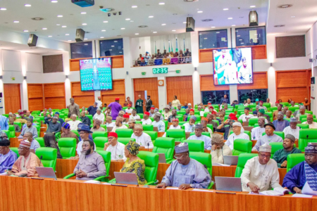 Reps to probe Nigeria’s public borrowing since 1999