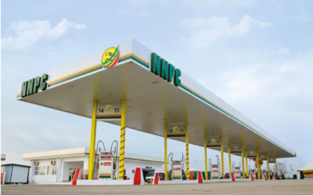 Petrol price hike: NACCIMA, PDP, Atiku, CSOs, others insist on reversal