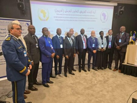 Egbetokun, others parley on security issues in Africa