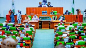Nigerian lawmaker Abdussamad Dasuki addressing the House of Representatives during plenary session.