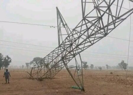 Repeated vandalism of transmission lines, towers worries TCN