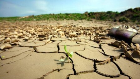 Africa asks the West to honour climate change commitments