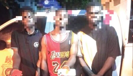 Police nab three for stealing phones from accident victims