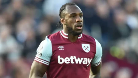 West Ham’s Michail Antonio discharged from hospital after car accident