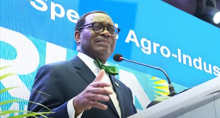 AfDB to disburse $2.2bn for Nigerian Agro-Industrial zones by 2025