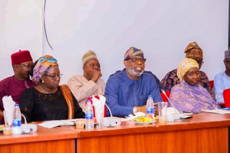 NASS rejects N9bn capital budget for mining sector Mining sector