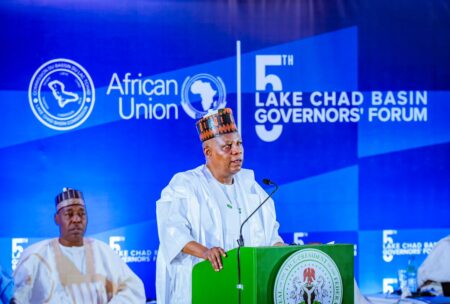 Tinubu urges unified approach to Lake Chad security crisis