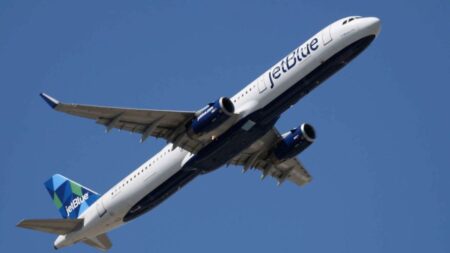 Mysterious Discovery: Two bodies found in JetBlue Plane’s landing gear