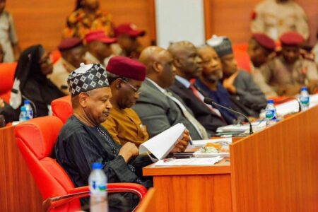 Bagudu outlines strategy to achieve N36.35trn revenue  Bagudu