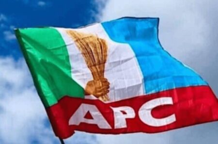 Lagos APC denies directive for LG chairmen seeking re-election to resign