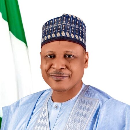 Minister Mohammed Idris mourns Niger boat accident victims, announces safety awareness campaign.