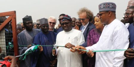 FG commissions 990kWp interconnected mini-grid in Niger