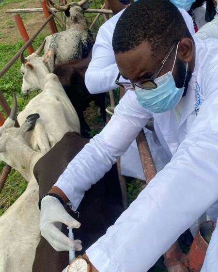 Rivers commences anthrax vaccination campaign Rivers Anthrax Vaccine