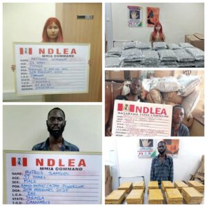 NDLEA Suspects