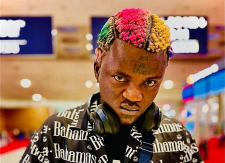 Singer Portable [Credit: Google]