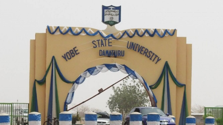 Failed Kidney: Yobe govt deploys health experts to affected communities Yobe