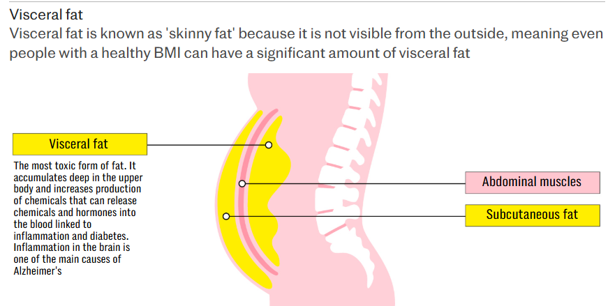 Viseral Fat known as skinny fat