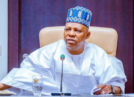 Shettima urges National Assembly to prioritise unity, national development