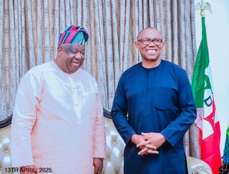 Obi, Mutfwang call for national action to end Plateau killings Obi