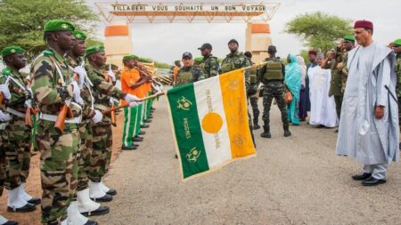 Niger Republic dumps French, adopts Hausa as new national language
