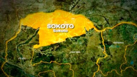 Sokoto records 300 meningitis cases, 16 undergoing recovery Shagari youths consider armed self-defense against bandits