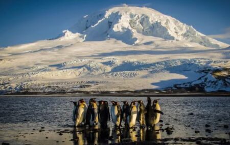 Trump imposes tariffs on penguin islands near Antarctica