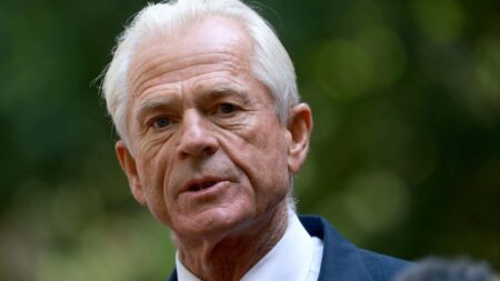 It’s fine been called worse’: Trump aide Peter Navarro reacts to Elon Musk calling him ‘moron’