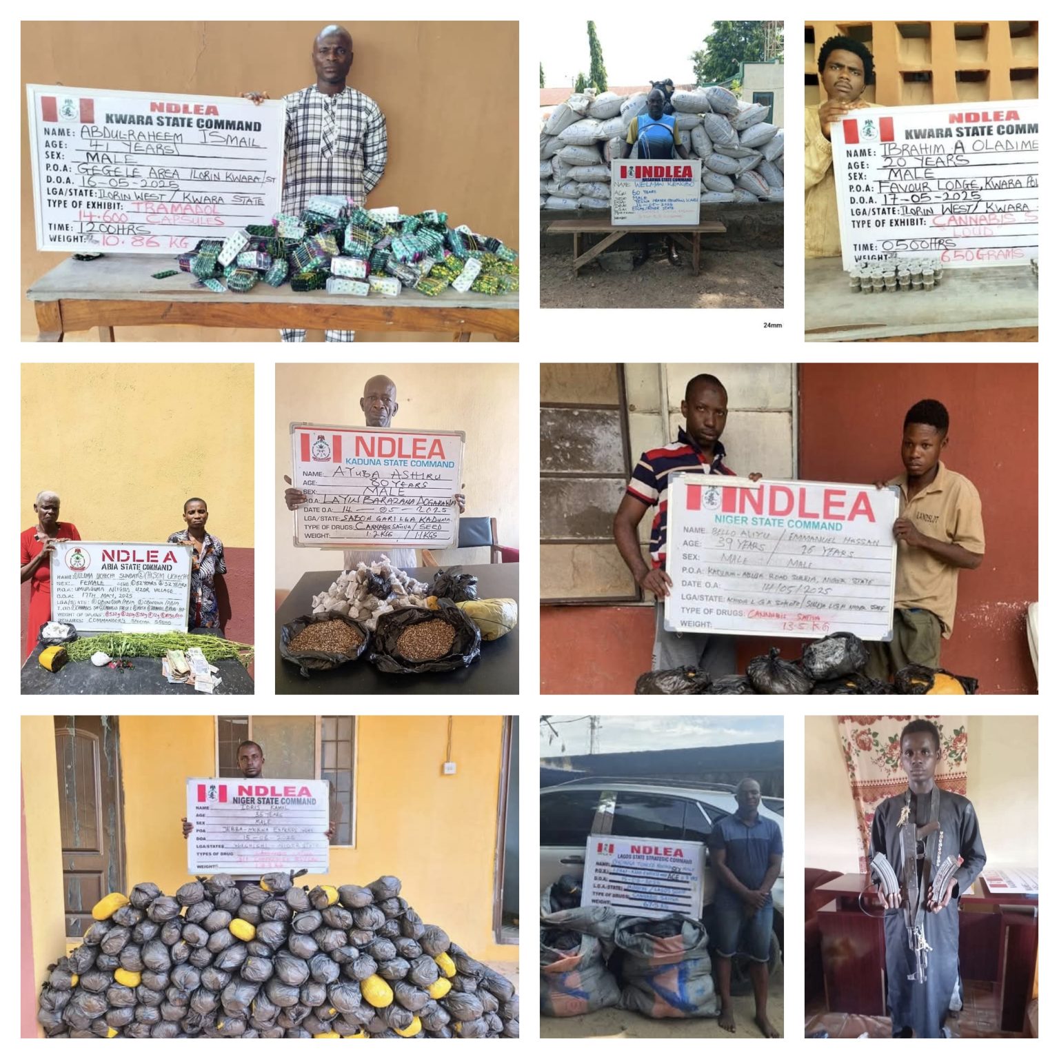 NDLEA nabs octogenarians, intercepts N3.2bn worth of drugs nationwide