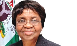 NAFDAC reports N25 billion worth of operational vehicles vandalised after thugs attack officials NAFDAC DG