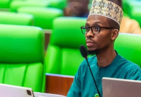 Bello El-Rufai apologises for past criticism of Goodluck Jonathan Bello