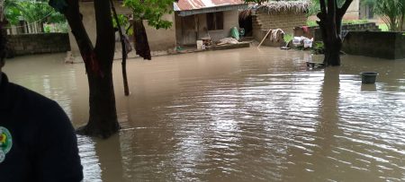 Flood