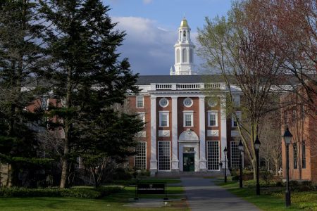 Harvard university