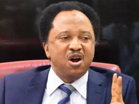 Stop pointing fingers at Tinubu, Shehu Sani slams opposition parties Shehu Sani