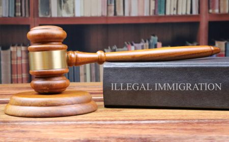 Judge’s blunder lets Illegal migrant stay in UK Immigration