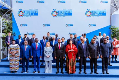 Nigeria, global leaders urge collective action against food insecurity at UN Summit Nigeria Vice President Kashim Shettima and other leaders