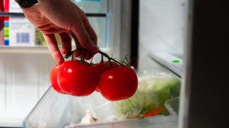Why you should never store tomatoes in the fridge Fresh tomatoes stored in the fridge