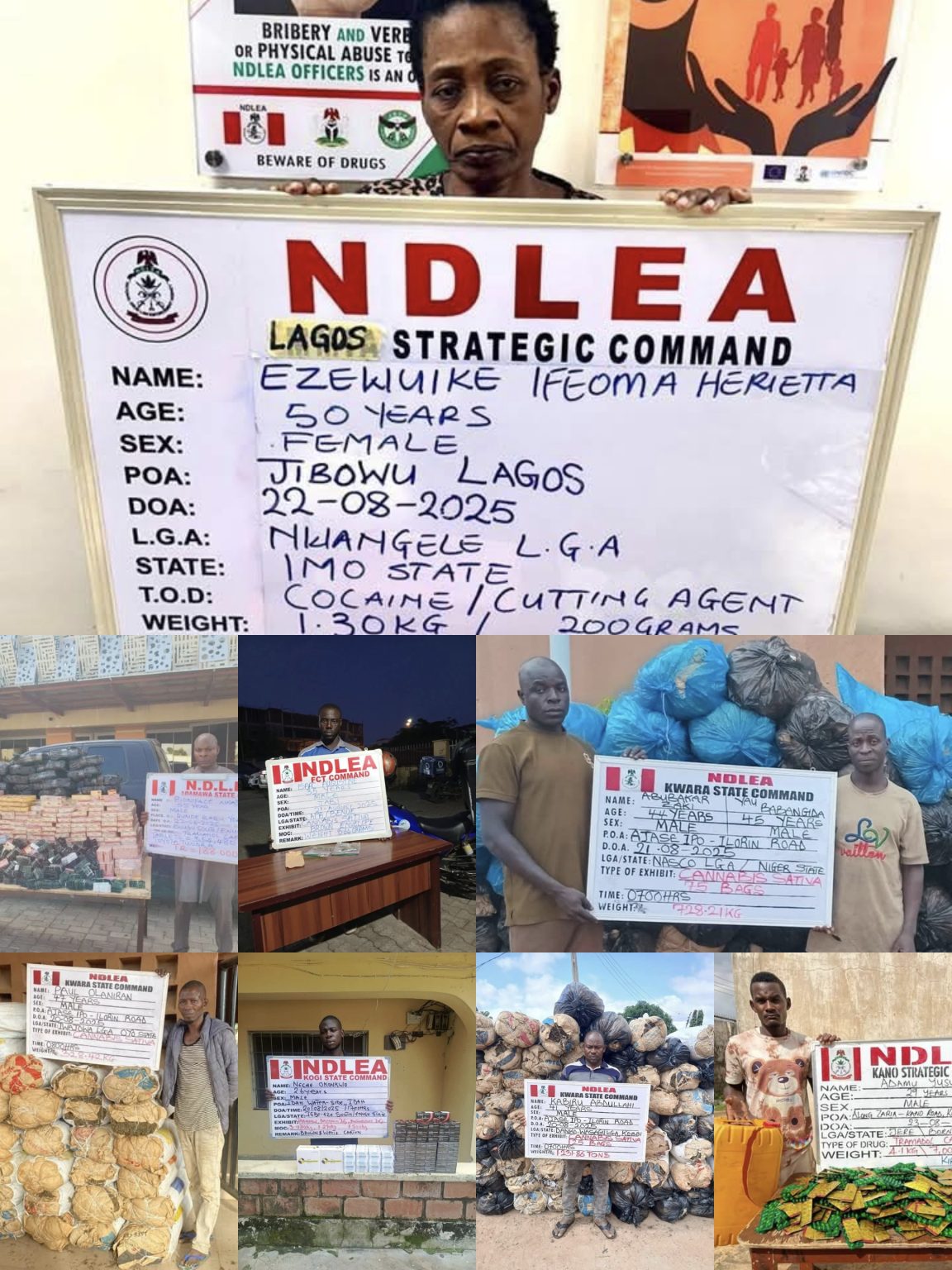 NDLEA arrests widow with cocaine in fake pregnancy Operatives of the National Drug Law Enforcement Agency (NDLEA) have apprehended a 50-year-old widow, Mrs Ifeoma Ezewuike, for allegedly attempting to smuggle