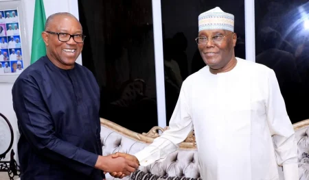 Obidients clarify remarks on Dollarised primaries, say criticism not directed at Atiku Obidient Movement says dollarisation comments weren’t aimed at Atiku.