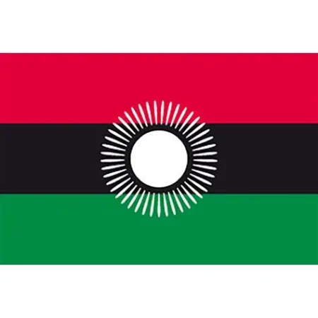 Aid cuts: Malawi warns of imminent tuberculosis drug shortage Aid cuts: Malawi warns of imminent tuberculosis drug shortage