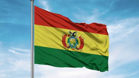 Bolivians Bolivia flag