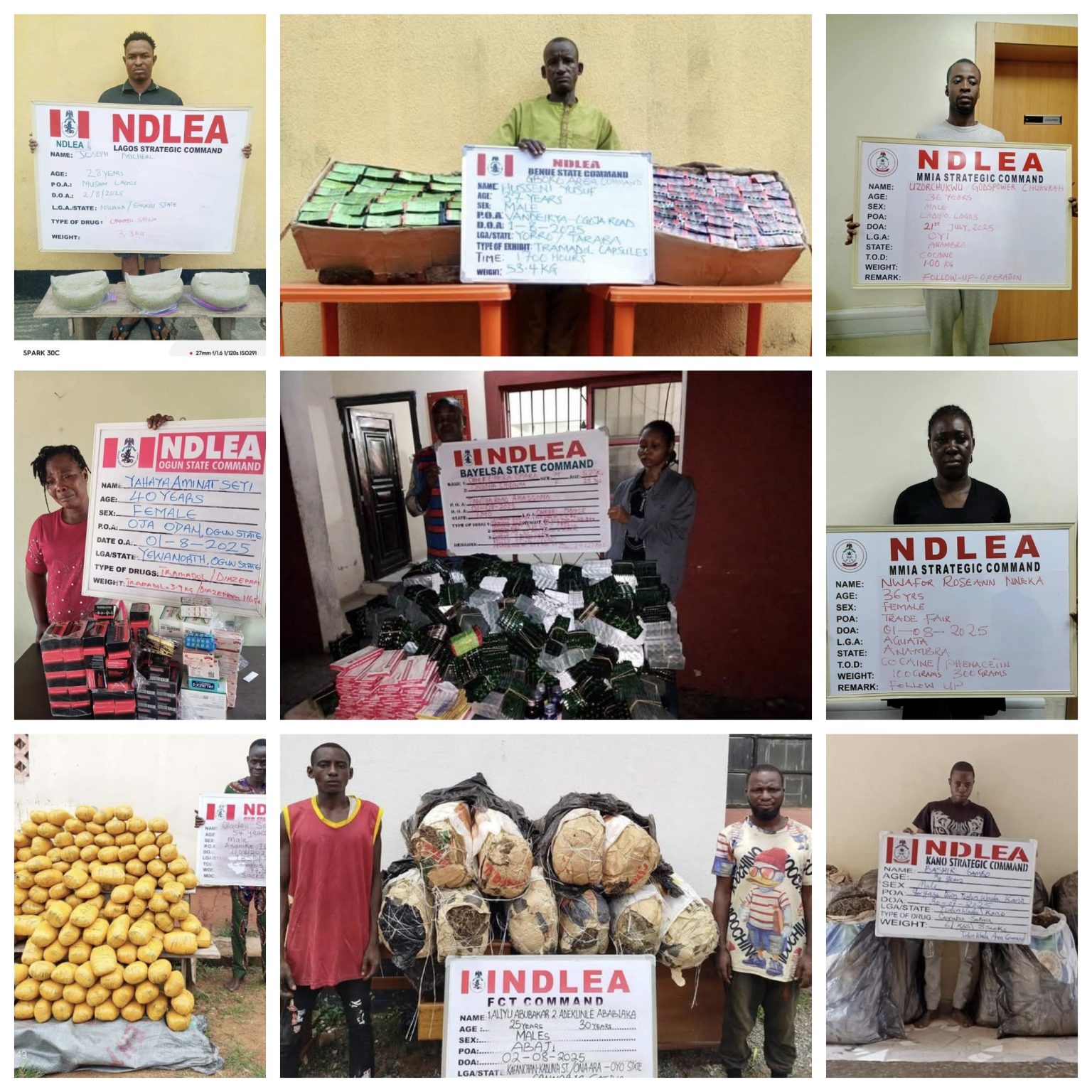 NDLEA arrests drug peddlers, others during nationwide crackdown Suspected drug dealers