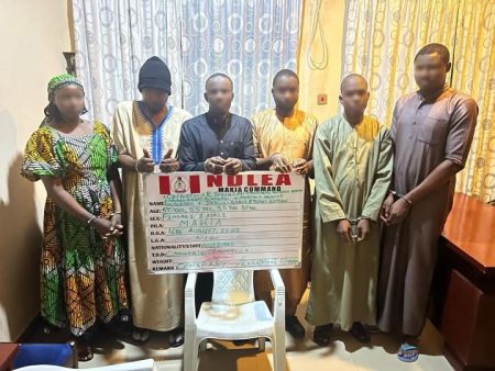 NDLEA nabs Kano airport drug syndicate The National Drug Law Enforcement Agency (NDLEA) has dismantled a criminal network at the Mallam Aminu Kano International Airport (MAKIA), Kano, after uncovering how its