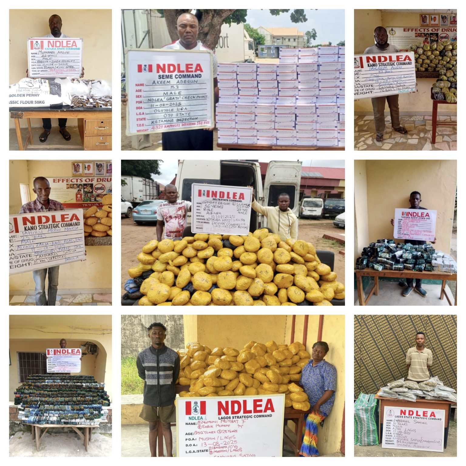 NDLEA arrests wanted kingpin, seizes billions worth of drugs nationwide NDLEA arrests notorious drug kingpin, Sunday Ibigide in Delta State