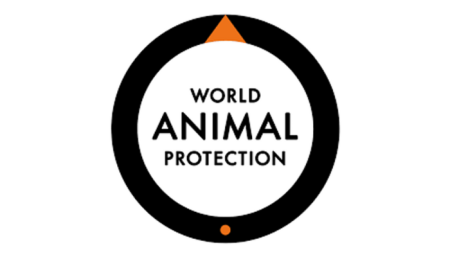 Experts warn 1.27m die yearly from infections The World Animal Protection (WAP) has raised alarm that antibiotic-resistant infections are already claiming about 1.27 million lives yearly, with the figure projected