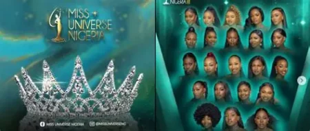 Miss Universe Nigeria 2025 finalist